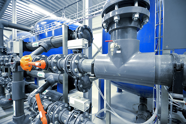 Balbula-egitura eta ezaugarri komunak